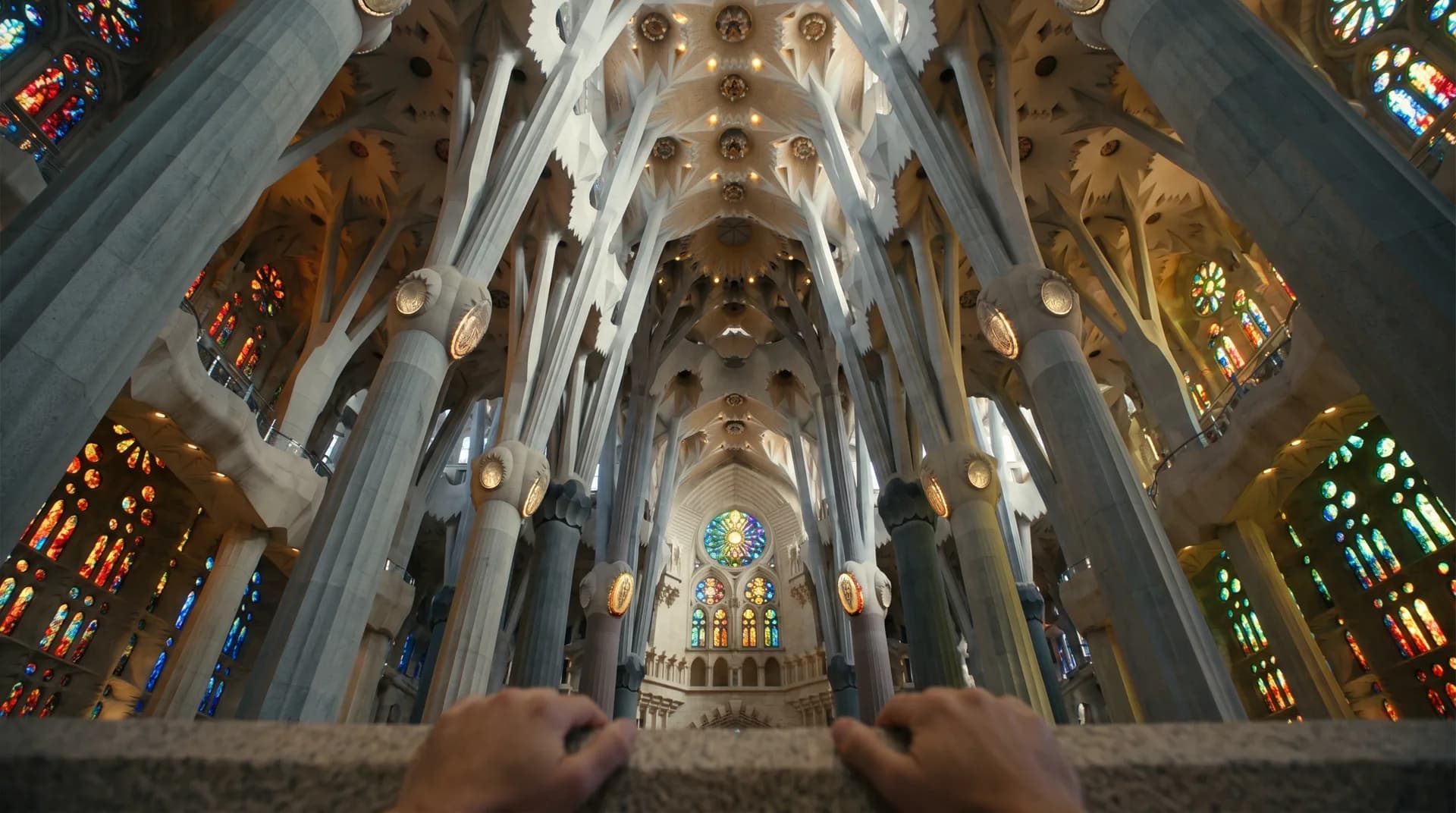 POV · KATEDRA